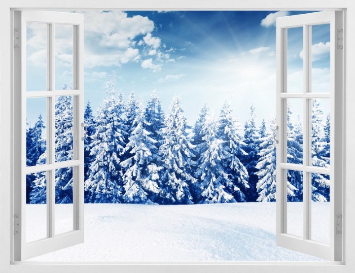 окна зимой